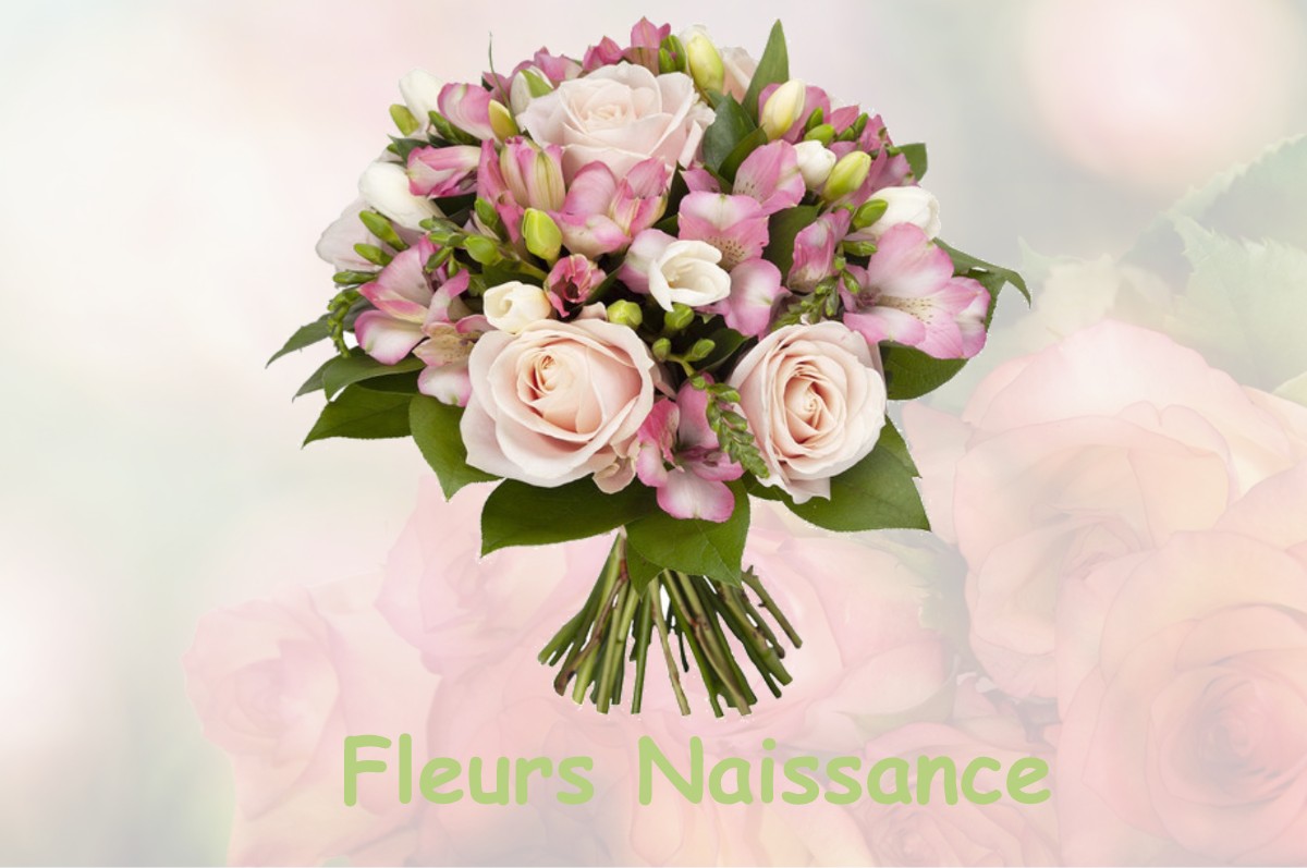 fleurs naissance MORESTEL