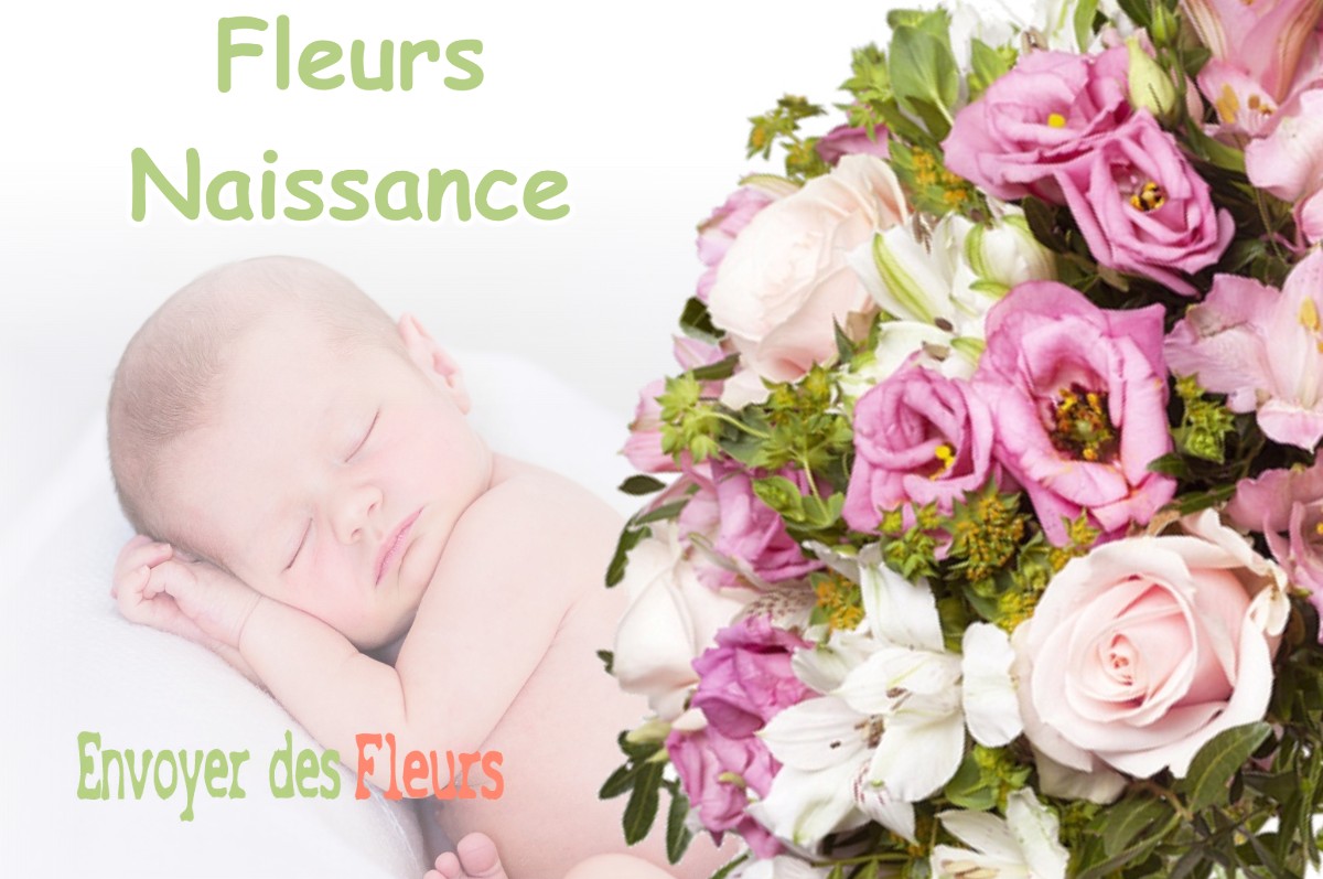 lIVRAISON FLEURS NAISSANCE à MORESTEL